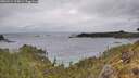 ./images/calvert/foggy-cove/20260514/foggy-cove20260514_124001M.jpg