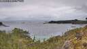 ./images/calvert/foggy-cove/20260514/foggy-cove20260514_124501M.jpg