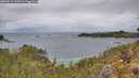 ./images/calvert/foggy-cove/20260514/foggy-cove20260514_125002M.jpg