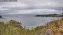 ./images/calvert/foggy-cove/20260514/foggy-cove20260514_131001M.jpg