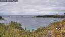 ./images/calvert/foggy-cove/20260514/foggy-cove20260514_133001M.jpg