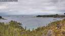 ./images/calvert/foggy-cove/20260514/foggy-cove20260514_133501M.jpg