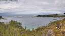 ./images/calvert/foggy-cove/20260514/foggy-cove20260514_134002M.jpg