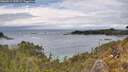./images/calvert/foggy-cove/20260514/foggy-cove20260514_135501M.jpg
