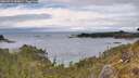 ./images/calvert/foggy-cove/20260514/foggy-cove20260514_140001M.jpg