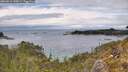 ./images/calvert/foggy-cove/20260514/foggy-cove20260514_140501M.jpg