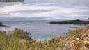 ./images/calvert/foggy-cove/20260514/foggy-cove20260514_141001M.jpg