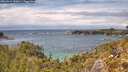 ./images/calvert/foggy-cove/20260514/foggy-cove20260514_143001M.jpg