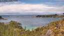 ./images/calvert/foggy-cove/20260514/foggy-cove20260514_145001M.jpg