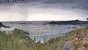 ./images/calvert/foggy-cove/20260514/foggy-cove20260514_185001M.jpg