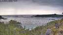 ./images/calvert/foggy-cove/20260514/foggy-cove20260514_185501M.jpg