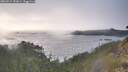 ./images/calvert/foggy-cove/20260514/foggy-cove20260514_192001M.jpg