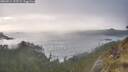 ./images/calvert/foggy-cove/20260514/foggy-cove20260514_193501M.jpg
