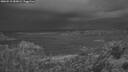 ./images/calvert/foggy-cove/20260515/foggy-cove20260515_050002M.jpg