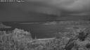 ./images/calvert/foggy-cove/20260515/foggy-cove20260515_050501M.jpg