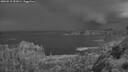 ./images/calvert/foggy-cove/20260515/foggy-cove20260515_051001M.jpg