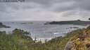 ./images/calvert/foggy-cove/20260515/foggy-cove20260515_061501M.jpg
