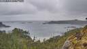 ./images/calvert/foggy-cove/20260515/foggy-cove20260515_062002M.jpg