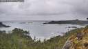./images/calvert/foggy-cove/20260515/foggy-cove20260515_062501M.jpg