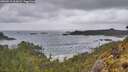 ./images/calvert/foggy-cove/20260515/foggy-cove20260515_063002M.jpg