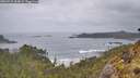 ./images/calvert/foggy-cove/20260515/foggy-cove20260515_064001M.jpg