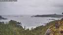 ./images/calvert/foggy-cove/20260515/foggy-cove20260515_064501M.jpg