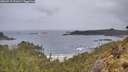 ./images/calvert/foggy-cove/20260515/foggy-cove20260515_071001M.jpg