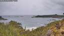./images/calvert/foggy-cove/20260515/foggy-cove20260515_071501M.jpg