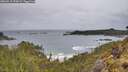 ./images/calvert/foggy-cove/20260515/foggy-cove20260515_072001M.jpg