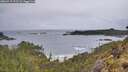 ./images/calvert/foggy-cove/20260515/foggy-cove20260515_072501M.jpg