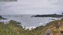 ./images/calvert/foggy-cove/20260515/foggy-cove20260515_073001M.jpg