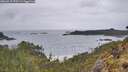 ./images/calvert/foggy-cove/20260515/foggy-cove20260515_073501M.jpg