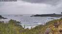 ./images/calvert/foggy-cove/20260515/foggy-cove20260515_074001M.jpg