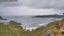 ./images/calvert/foggy-cove/20260515/foggy-cove20260515_075001M.jpg