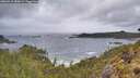 ./images/calvert/foggy-cove/20260515/foggy-cove20260515_080001M.jpg