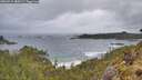 ./images/calvert/foggy-cove/20260515/foggy-cove20260515_080501M.jpg