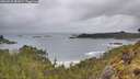 ./images/calvert/foggy-cove/20260515/foggy-cove20260515_081002M.jpg