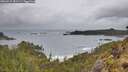 ./images/calvert/foggy-cove/20260515/foggy-cove20260515_081501M.jpg