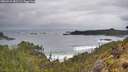 ./images/calvert/foggy-cove/20260515/foggy-cove20260515_082501M.jpg
