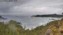 ./images/calvert/foggy-cove/20260515/foggy-cove20260515_083001M.jpg