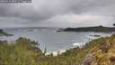 ./images/calvert/foggy-cove/20260515/foggy-cove20260515_083501M.jpg