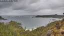 ./images/calvert/foggy-cove/20260515/foggy-cove20260515_084001M.jpg