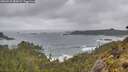 ./images/calvert/foggy-cove/20260515/foggy-cove20260515_084502M.jpg