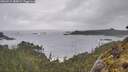 ./images/calvert/foggy-cove/20260515/foggy-cove20260515_085001M.jpg