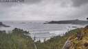 ./images/calvert/foggy-cove/20260515/foggy-cove20260515_085501M.jpg