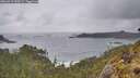 ./images/calvert/foggy-cove/20260515/foggy-cove20260515_090501M.jpg