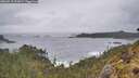 ./images/calvert/foggy-cove/20260515/foggy-cove20260515_091001M.jpg