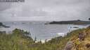 ./images/calvert/foggy-cove/20260515/foggy-cove20260515_091502M.jpg