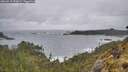./images/calvert/foggy-cove/20260515/foggy-cove20260515_092001M.jpg
