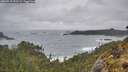 ./images/calvert/foggy-cove/20260515/foggy-cove20260515_092501M.jpg